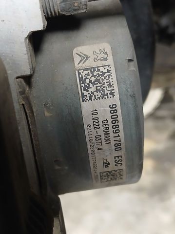 9806891780 Peugeot/Citroen