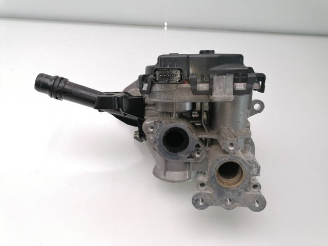 9807369980 Peugeot/Citroen