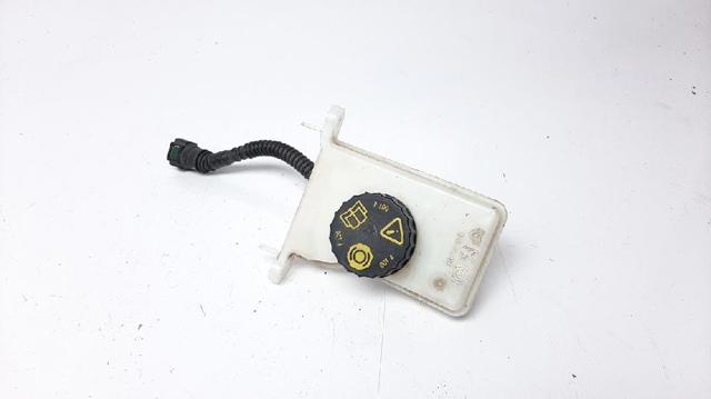 9807651580 Peugeot/Citroen
