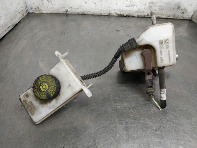 9807651580 Peugeot/Citroen