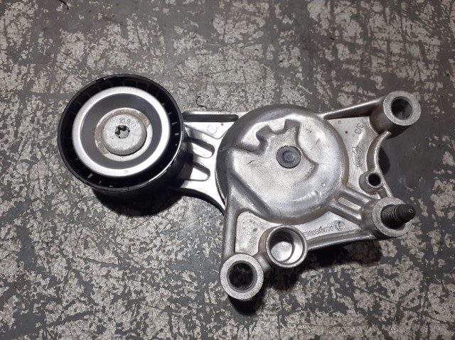 Rolo de reguladora de tensão da correia de transmissão 9807720180 PEUGEOT