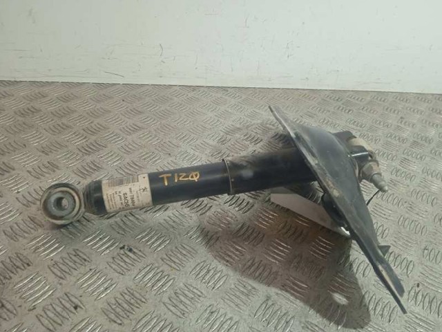 9807784080 Peugeot/Citroen