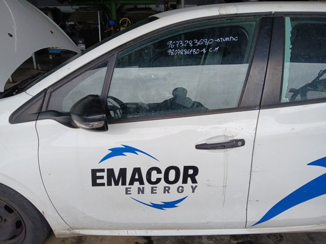 9807820780 Peugeot/Citroen