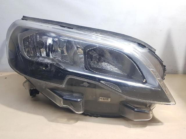9808572580 Peugeot/Citroen
