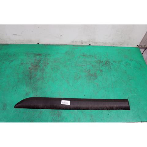 9808748977 Peugeot/Citroen