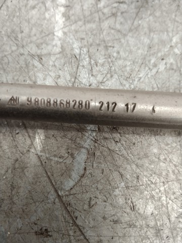 9808868280 Peugeot/Citroen