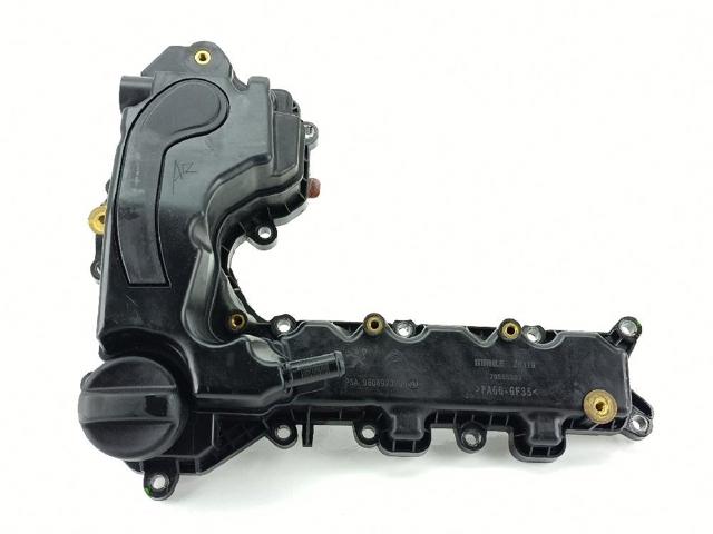 9808923780 Peugeot/Citroen