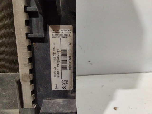 9809141780 Peugeot/Citroen