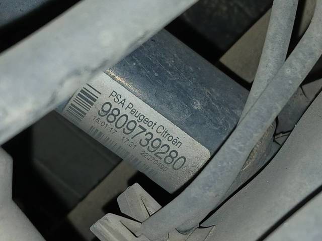 9809739280 Peugeot/Citroen