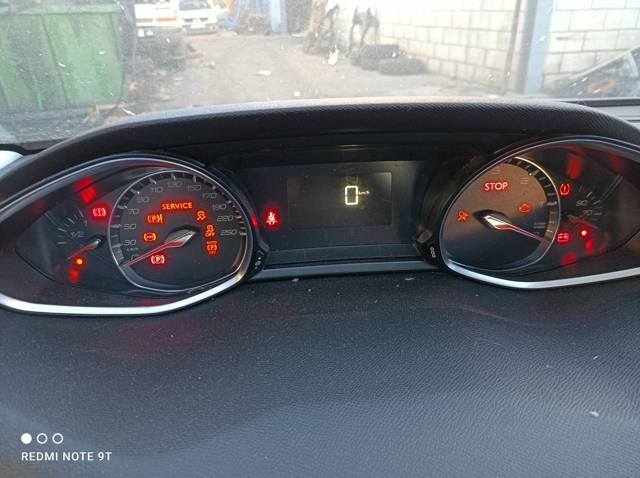9809838780 Peugeot/Citroen