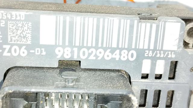 9810296480 Peugeot/Citroen