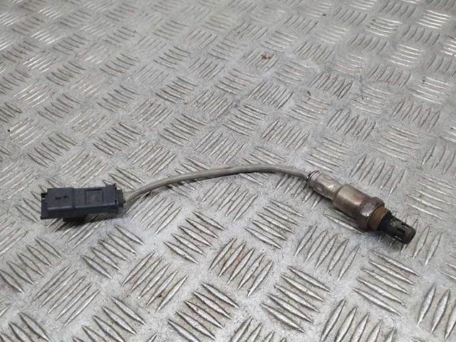 9810634380 Peugeot/Citroen