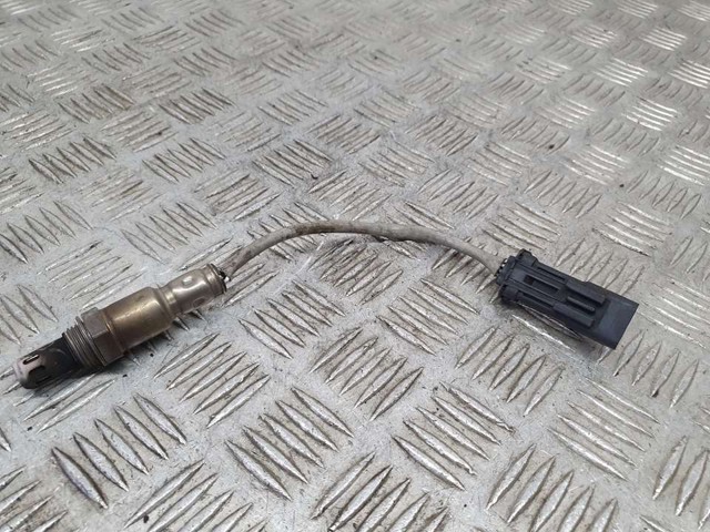 9810634380 Peugeot/Citroen