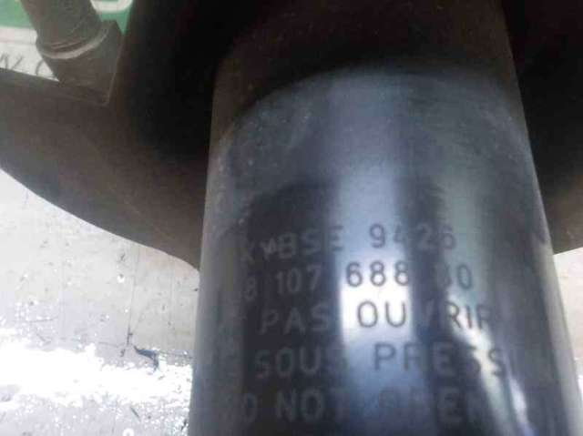 9810768880 Peugeot/Citroen