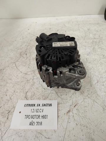 9810971880 Peugeot/Citroen