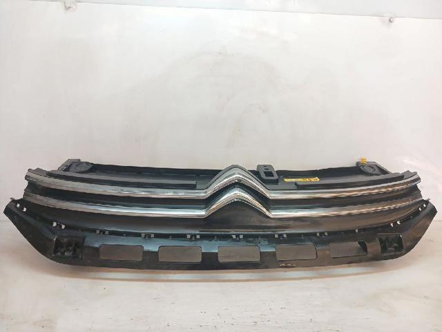 Grelha do radiador 9812063477 PEUGEOT