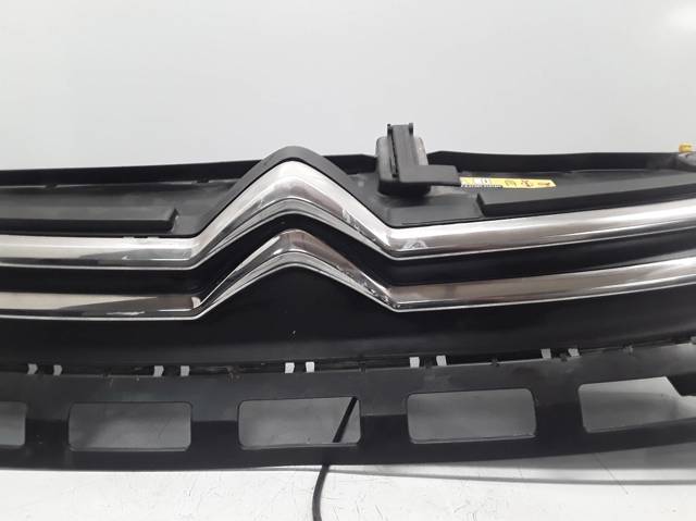 Grelha do radiador 9812063477 PEUGEOT