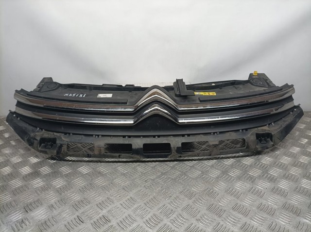 Grelha do radiador 9812063477 PEUGEOT