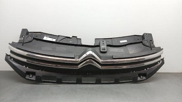 Grelha do radiador 9812063477 PEUGEOT