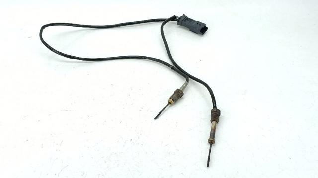 9812376480 Peugeot/Citroen