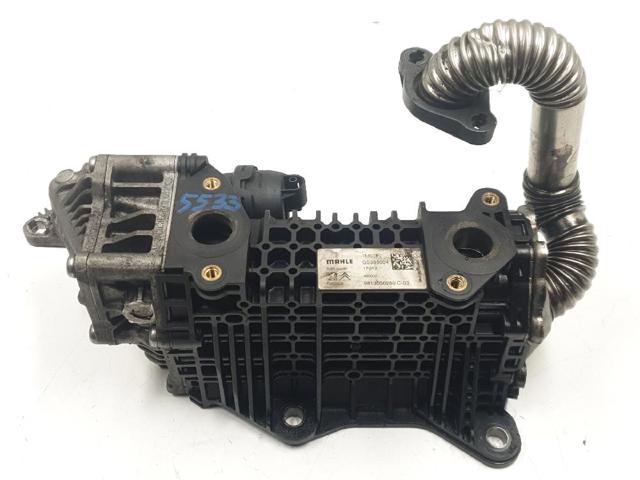 9813050280 Peugeot/Citroen