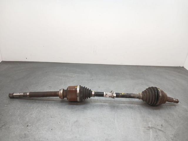 9813122880 Peugeot/Citroen