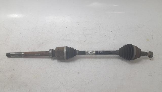 9813122880 Peugeot/Citroen