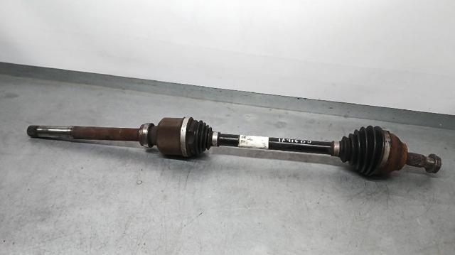 9813122880 Peugeot/Citroen
