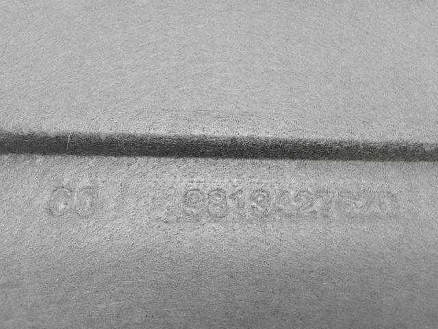 98134276ZD Peugeot/Citroen