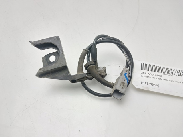 9813759680 Peugeot/Citroen
