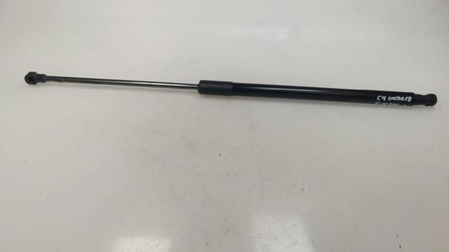Amortecedor de tampa de porta-malas (de 3ª/5ª porta traseira) 9813913880 PEUGEOT