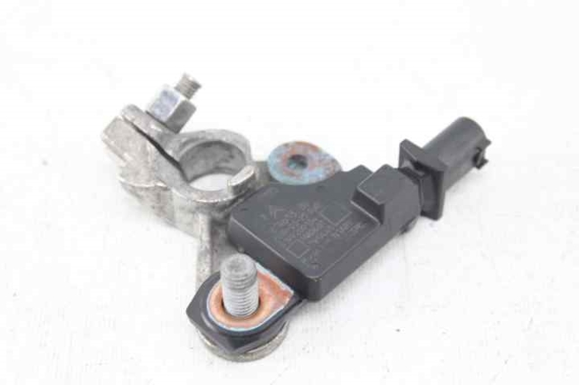 9814653780 Peugeot/Citroen