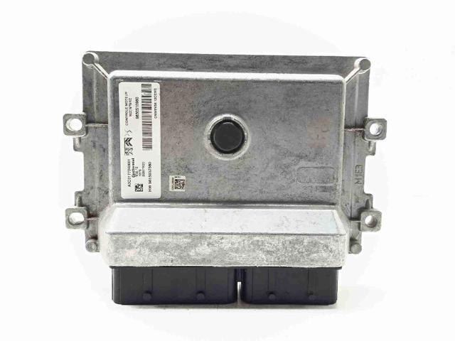 9815037580 Peugeot/Citroen
