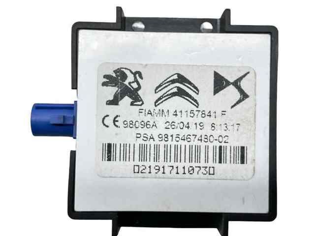 9815467480 Peugeot/Citroen