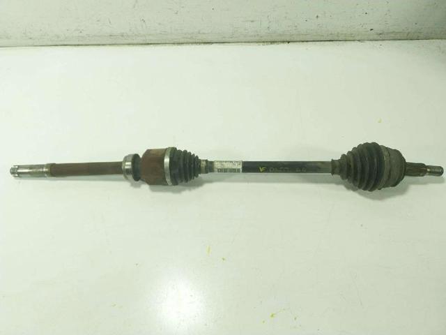 9815636080 Peugeot/Citroen