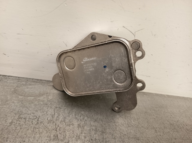 9815697880 Peugeot/Citroen