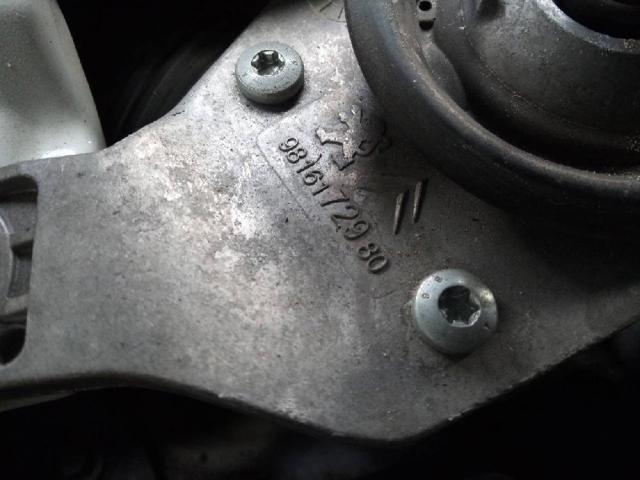 9816172980 Peugeot/Citroen