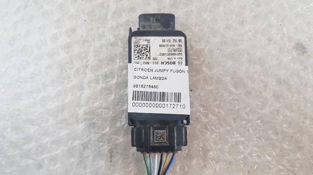 9816276480 Peugeot/Citroen