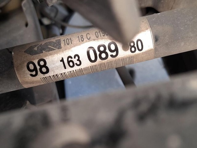 9816308980 Peugeot/Citroen