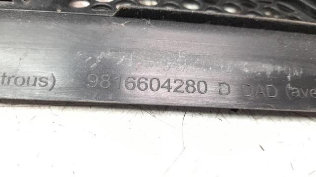 9816567880 Peugeot/Citroen