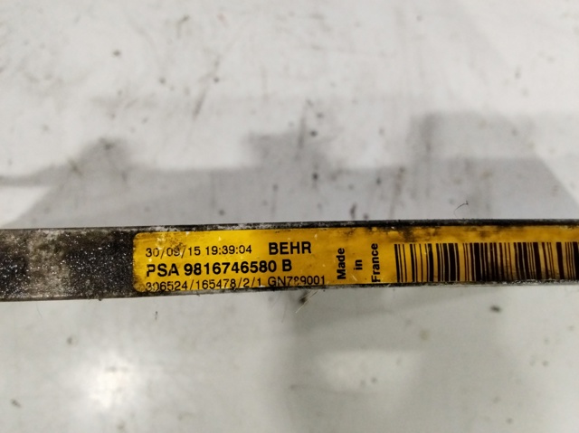 9816746580 Peugeot/Citroen