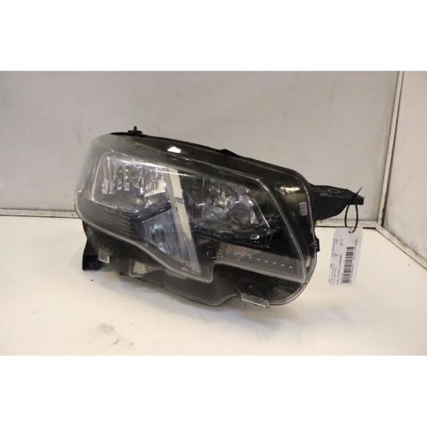 9816826880 Peugeot/Citroen