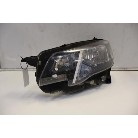 9816826980 Peugeot/Citroen