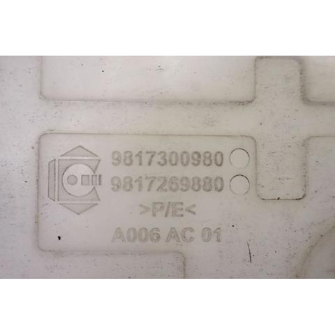 9817300980 Peugeot/Citroen