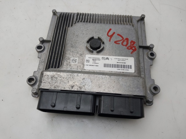9818160080 Peugeot/Citroen