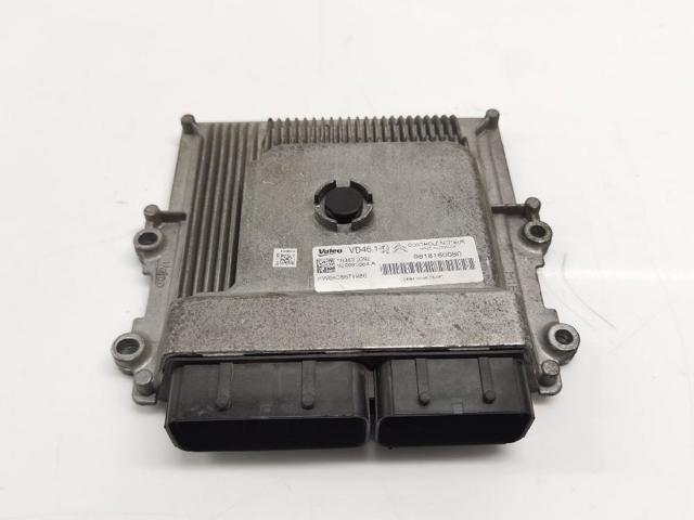 9818160080 Peugeot/Citroen