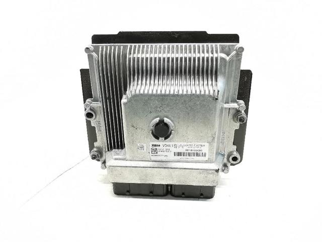 9818160080 Peugeot/Citroen