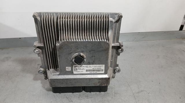 9818160080 Peugeot/Citroen