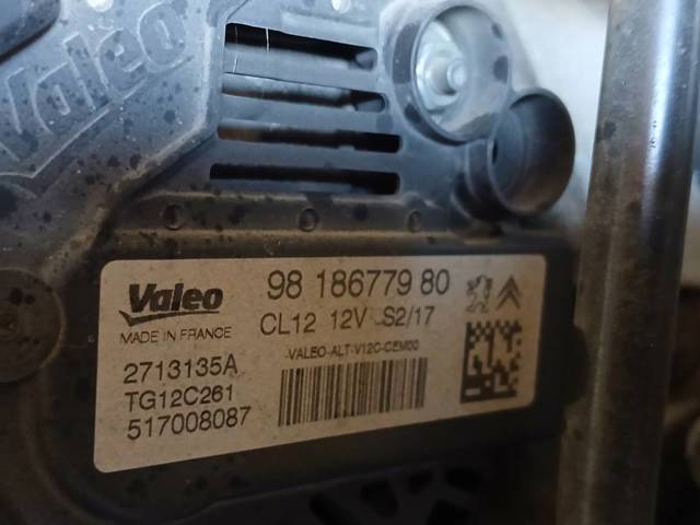 9818677980 Peugeot/Citroen