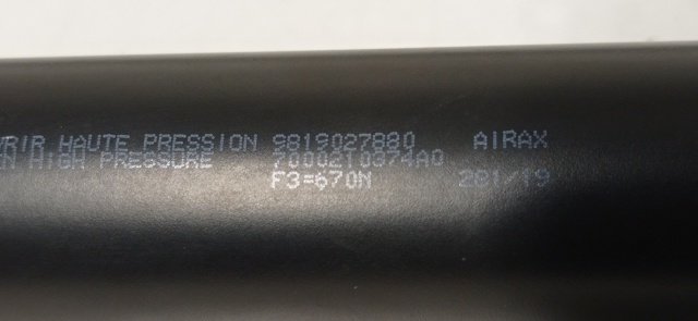 9819027880 Peugeot/Citroen